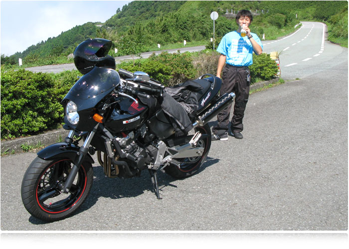 HORNET250�bPURESPORT Type TwoTail Fw 